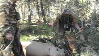 Clint Brown Archery Elk Hunt [upl. by Salomie65]