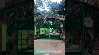 Sepahijala zoological park at Tripura🦚 zoo sepahijala tripura animallover shortsviral [upl. by Trovillion]