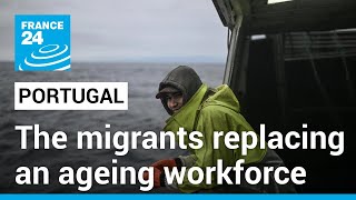 ‘We need this workforce’ Portugal turns to migrants as population ages • FRANCE 24 English [upl. by Greggs]