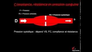 La circulation sanguine et la pression artérielle [upl. by Narhet196]