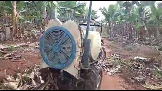 Moto Pulverizador Turbo na Plantação de Banana  JC Triciclos Agrícolas [upl. by Trinidad372]