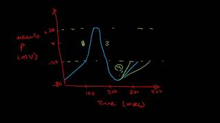 EDAIC essentials 2 [upl. by Iphagenia]