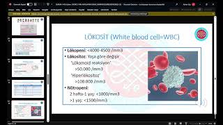 Hemogram yorumlama Konu anlatım [upl. by Anaiv]