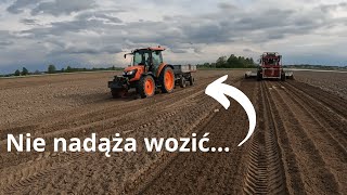 Usługa za DARMO Zbieranie kamieni [upl. by Eilyac]