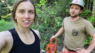 Harvesting amp Peeling Cedar Trees For A Massive Retaining Wall [upl. by Sirred408]