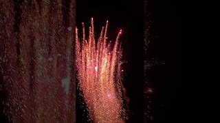 Traumhafter Feuertopf 🔥😱 fireworks feuerwerk pyro [upl. by Gnav]