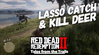 Red Dead Redemption 2 Lasso  Rope Kill Deer NO GUNS [upl. by Knobloch280]