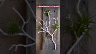 DIY ideas with tree branches from pinterest shortvideo diycrafts diyhomedecor [upl. by Itsrejk]