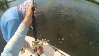 Fishing Shark River in the Florida Everglades 2013 [upl. by Dawn760]