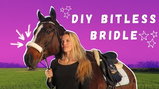 DIY Bitless Bridle Side Pull Attachment Tutorial [upl. by Nwahsar]