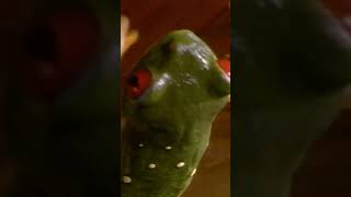 Dont mess with the RedEyed Tree Frog AnimalFacts NatGeoKids AmazingAnimals [upl. by Nomyaw]