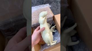 New Taxidermy Supplies Unboxing for the Fox Squirrels jesus outdoors taxidermy [upl. by Accber]