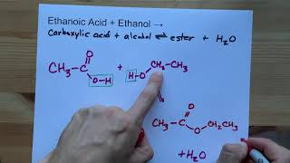 Ethanoic Acid  Ethanol   Ester Reaction [upl. by Arlynne720]