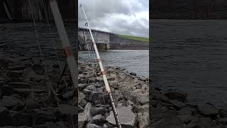 Paddlefish Snagging In Nashville Tennessee freshwaterfish fishspecies [upl. by Shaer400]