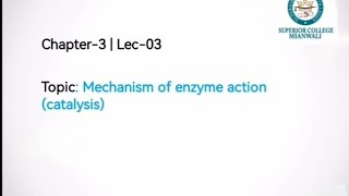 Mechanism of Enzyme Action  Models of enzyme action  Induced fit model and Lock and key model [upl. by Nidnarb883]