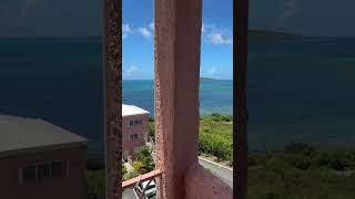 Living on THE REAL Caribbean Blue ☀️🏝️🇻🇮🐠🌊 caribbeanisland caribbeanbeach stcroix ocean [upl. by Dominica]