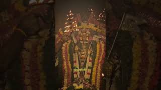 Sankarankovil Sankara narayanar temple murugan sorasamharam [upl. by Naujuj]