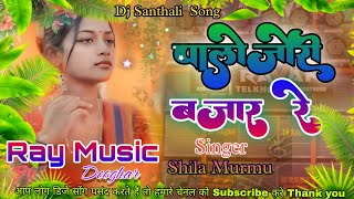 Ray Music Deoghar 💯 Palozori Bazar Re♥️ DJ Santhali songShila Murmu DJ song [upl. by Orlosky]