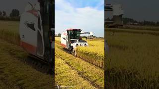 kubota ER590 harvester 😱😱 shorts kubota harvester [upl. by Avram184]