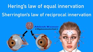 Herings law of Equal innervation and Sherringtons law of reciprocal innervation  Ocular Laws [upl. by Gnahk]