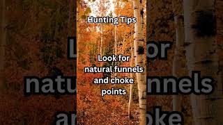 Hunting Tips  Southern Outdoor Dreams  Hunting fishing whitetail deer texas outdoors [upl. by Witty411]