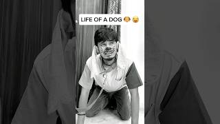 LIFE OF A DOG 🐶 😂  Chimkandi comedy entertainment shorts [upl. by Mencher347]