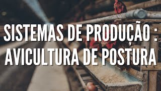 Sistemas de produção para AVICULTURA DE POSTURA  AVICULTURA DE POSTURA [upl. by Persons508]