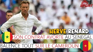 HERVE RENARD DONNE LES RAISONS DE SA NON VENUE AU SENEGAL ET REGLE SES COMPTES AVEC LE CAMEROUN [upl. by Laaspere]