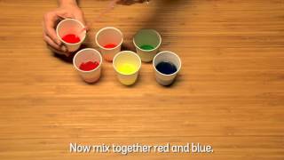 Early Childhood Science Experiment Colorful World [upl. by Abbottson]