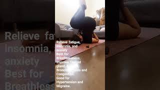 HalasanaBenefits Daily Yoga Routine Workout Fitness [upl. by Noellyn]