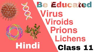 Virus viroids and lichens  prions  class 11 Biological classification  Be Educated [upl. by Lig]