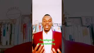 paradigms amp programming mindset youtube love [upl. by Eimas]