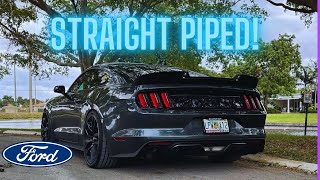 Straight Piped Mustangt GT Sounds Insane [upl. by Inavoy]