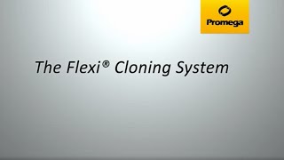 Flexi® Cloning System [upl. by Alphonsine989]