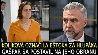 Kolíková označila Eštoka za hlupáka Gašpar sa postavil na jeho obranu [upl. by Erapsag]