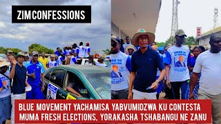 Blue Movement YaChamisa Yabvumidzwa Ku Contesta Muma Fresh Elections Yorakasha Tshabangu Ne ZANU [upl. by Durante]