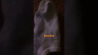 Socks the bunny [upl. by Julee467]