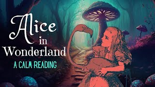 Reading of Alice in Wonderland  full audiobook  Story Reading for Sleep  Relaxing Reading [upl. by Pete]