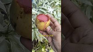 koiya palam juice recipe food juice vairalvideo shorts [upl. by Azenav]