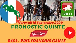 Minute Quinté TURF FR  PRIX FRANCOIS CAILLE  Mercredi 16 Septembre 2020  La Capelle 🏇 PMU 214870 [upl. by Strohbehn421]