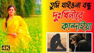 এত বছর পরে আইয়া এই দুঃখিনী রে কান্দাইয়া তুমি যাইওনা যাইওনা বন্ধুরে DJ Shahalom [upl. by Mackay]