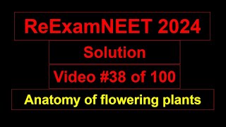 ReExam NEET 2024 Dicot leaf anatomy  adaxial and abaxial surface  palisade and spongy mesophyll [upl. by Anaidirib]