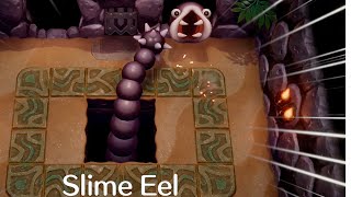 The Legend of Zelda Links Awakening  slime Eel Boss Fight SWITCH [upl. by Ilrebma]