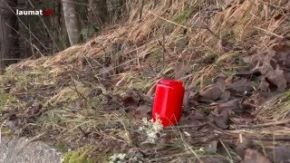 Tödlicher Verkehrsunfall mit Fußgänger in Hinterstoder [upl. by Harsho]