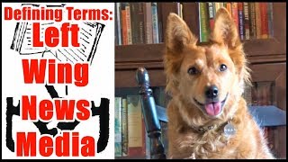 Left Wing News Media  Defining Terms [upl. by Neeluqcaj502]