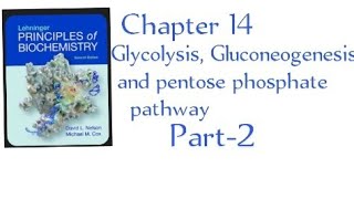 Glycolysis Gluconeogenesis and pentose phosphate pathway Chapter 14  part2 in Urdu [upl. by Lotsirb793]