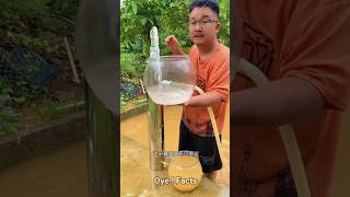 Water purifier New Viral Gadgets Smart AppliancesKitchen Utensils ome Inventions shorts gadgets [upl. by Zweig]