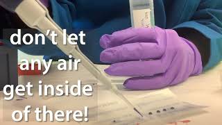 Tips for loading agarose gels [upl. by Haikezeh820]