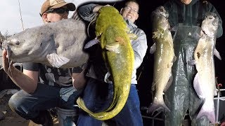 Ultimate FISHING CHALLENGE  300 lb catfish challenge  How to catch BIG catfish [upl. by Eadrahc]