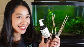 How to Set up a Fish Tank with Live Plants [upl. by Leraj]